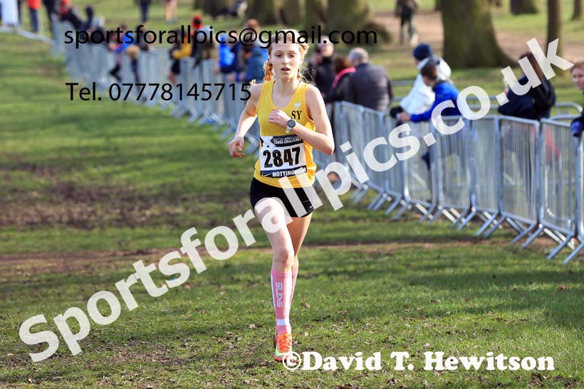 Girls Under-15s, 2024 CAU Inter Counties Cross Country Champs., Wollaton Park, Nottingham. Photo: David T. Hewitson/Sports for All Pics